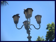 Plaza Mayor de la Constitución 13